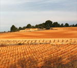 La Mancha - typische Landschaft